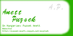 anett puzsek business card